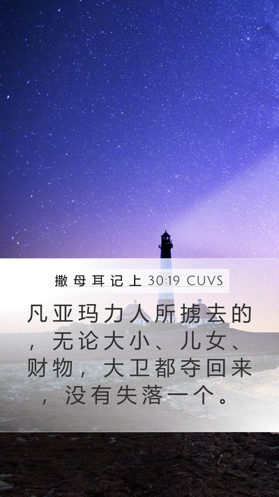 撒 母 耳 记 上 30:19 CUVS Bible Verse Image