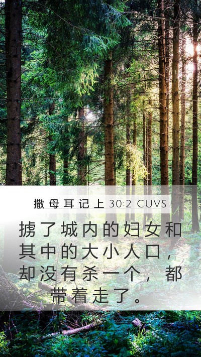 撒 母 耳 记 上 30:2 CUVS Mobile Phone Wallpaper - 掳 了 城 内 的 妇 女 和 其 中 的 大 - Mobile Bible Verse Wallpaper