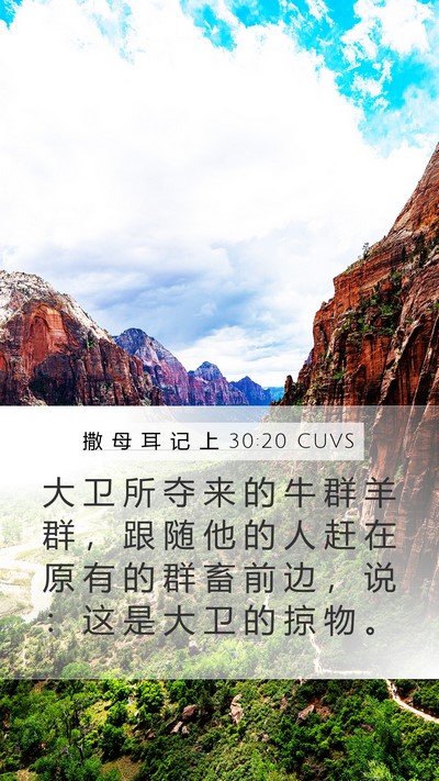 撒 母 耳 记 上 30:20 CUVS Bible Verse Image