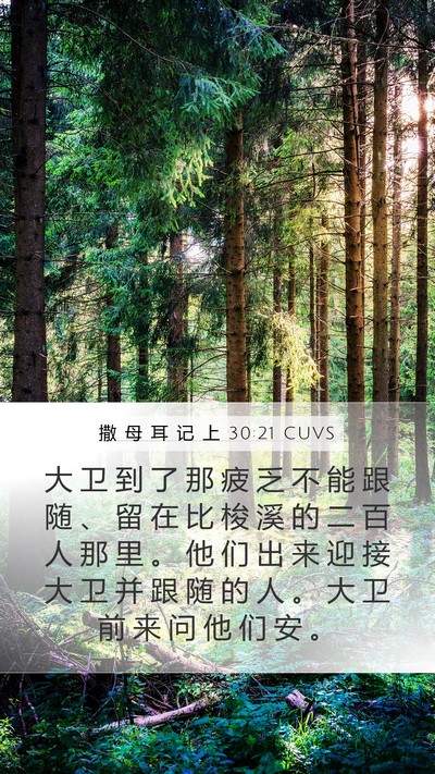 撒 母 耳 记 上 30:21 CUVS Bible Verse Image
