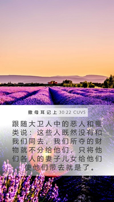 撒 母 耳 记 上 30:22 CUVS Bible Verse Image