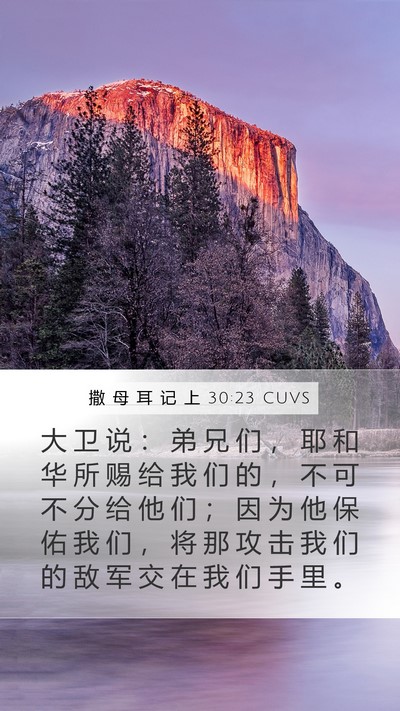 撒 母 耳 记 上 30:23 CUVS Bible Verse Image