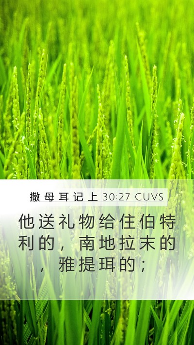 撒 母 耳 记 上 30:27 CUVS Bible Verse Image