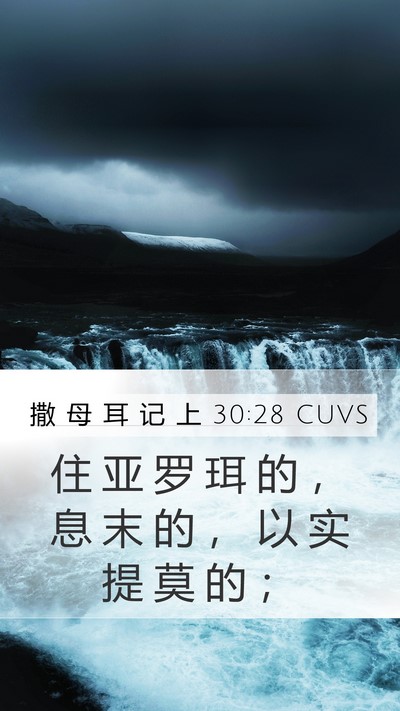 撒 母 耳 记 上 30:28 CUVS Bible Verse Image