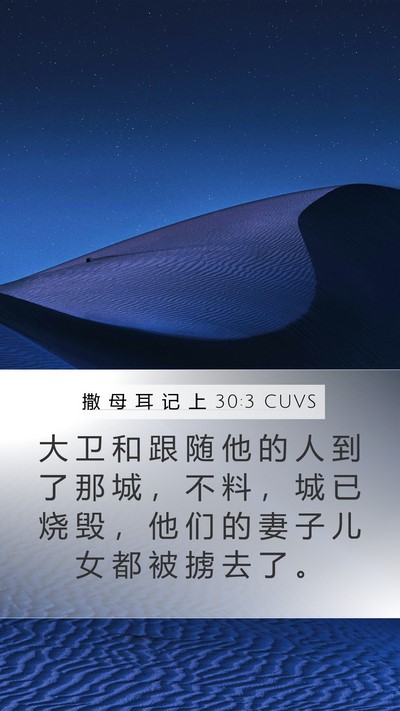 撒 母 耳 记 上 30:3 CUVS Bible Verse Image