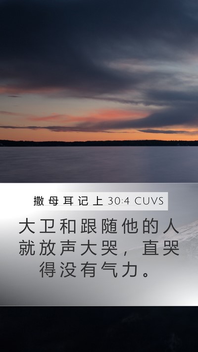撒 母 耳 记 上 30:4 CUVS Bible Verse Image