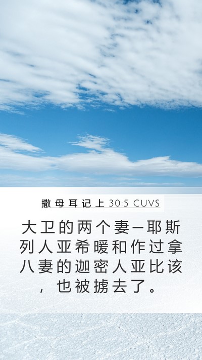 撒 母 耳 记 上 30:5 CUVS Bible Verse Image