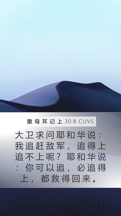 撒 母 耳 记 上 30:8 CUVS Bible Verse Image