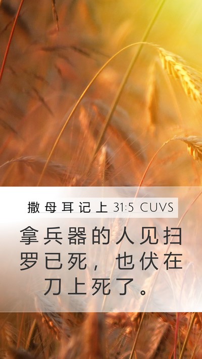 撒 母 耳 记 上 31:5 CUVS Mobile Phone Wallpaper - 拿 兵 器 的 人 见 扫 罗 已 死 ， 也 - Mobile Bible Verse Wallpaper