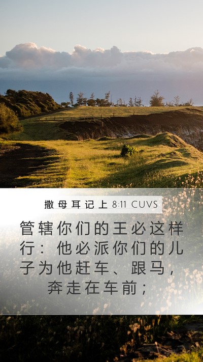 撒 母 耳 记 上 8:11 CUVS Bible Verse Image