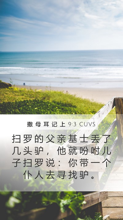 撒 母 耳 记 上 9:3 CUVS Mobile Phone Wallpaper - 扫 罗 的 父 亲 基 士 丢 了 几 头 驴 - Mobile Bible Verse Wallpaper