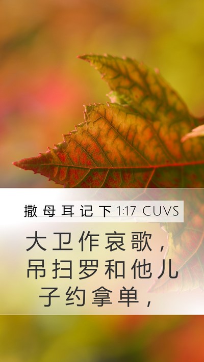 撒 母 耳 记 下 1:17 CUVS Bible Verse Image