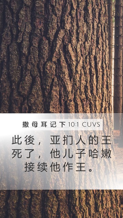 撒 母 耳 记 下 10:1 CUVS Mobile Phone Wallpaper - 此 後 ， 亚 扪 人 的 王 死 了 ， 他 - Mobile Bible Verse Wallpaper