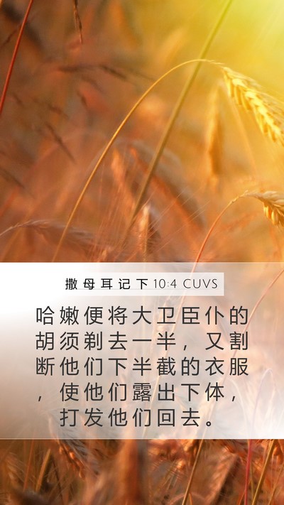 撒 母 耳 记 下 10:4 CUVS Bible Verse Image