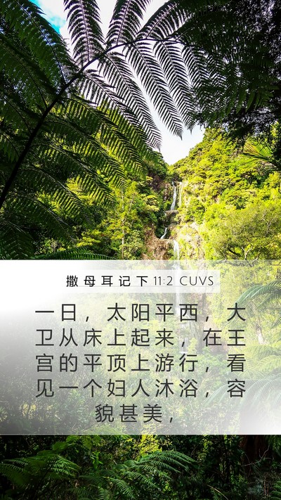 撒 母 耳 记 下 11:2 CUVS Bible Verse Image