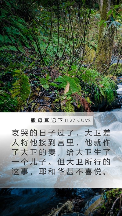 撒 母 耳 记 下 11:27 CUVS Bible Verse Image