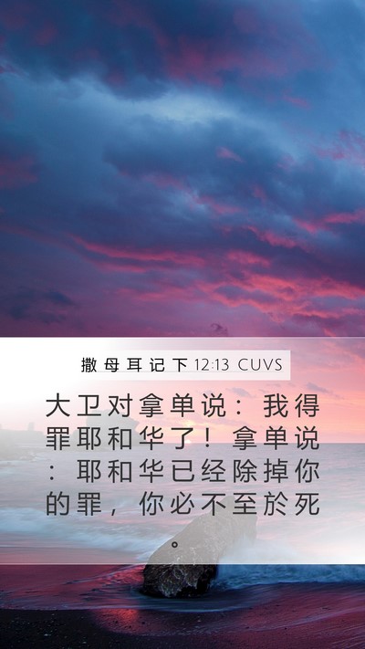 撒 母 耳 记 下 12:13 CUVS Mobile Phone Wallpaper - 大 卫 对 拿 单 说 ： 我 得 罪 耶 和 - Mobile Bible Verse Wallpaper