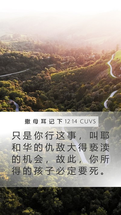 撒 母 耳 记 下 12:14 CUVS Mobile Phone Wallpaper - 只 是 你 行 这 事 ， 叫 耶 和 华 的 - Mobile Bible Verse Wallpaper