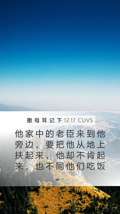 撒 母 耳 记 下 12:17 CUVS Mobile Phone Wallpaper - 他 家 中 的 老 臣 来 到 他 旁 边 ， - Mobile Bible Verse Wallpaper
