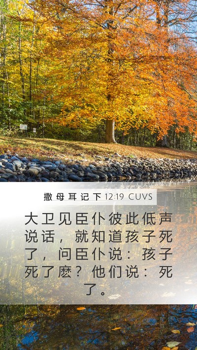 撒 母 耳 记 下 12:19 CUVS Bible Verse Image