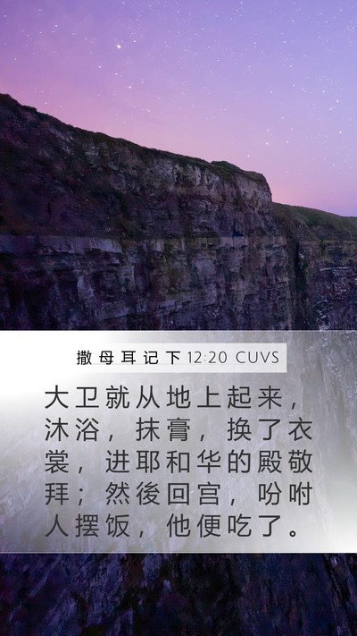 撒 母 耳 记 下 12:20 CUVS Bible Verse Image