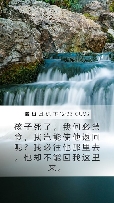 撒 母 耳 记 下 12:23 CUVS Bible Verse Image
