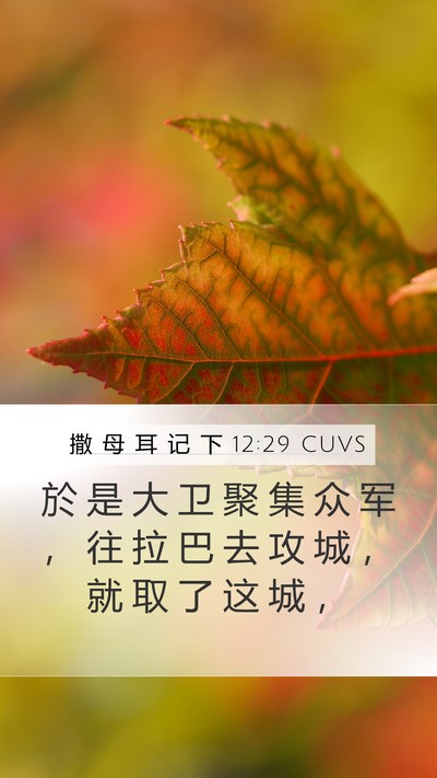 撒 母 耳 记 下 12:29 CUVS Bible Verse Image