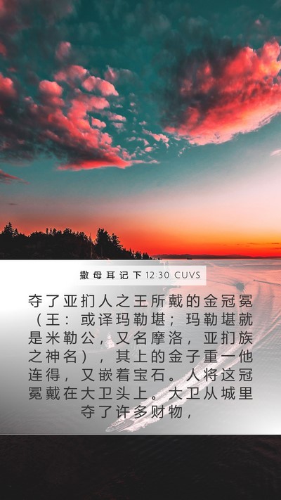 撒 母 耳 记 下 12:30 CUVS Bible Verse Image