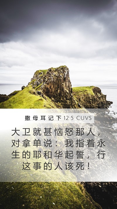 撒 母 耳 记 下 12:5 CUVS Mobile Phone Wallpaper - 大 卫 就 甚 恼 怒 那 人 ， 对 拿 单 - Mobile Bible Verse Wallpaper