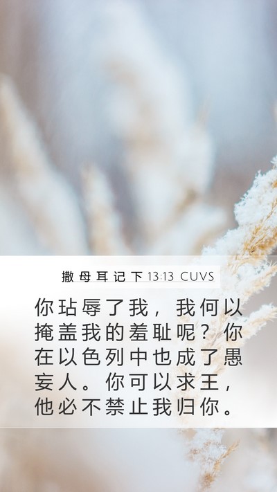 撒 母 耳 记 下 13:13 CUVS Mobile Phone Wallpaper - 你 玷 辱 了 我 ， 我 何 以 掩 盖 我 - Mobile Bible Verse Wallpaper