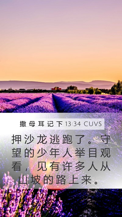 撒 母 耳 记 下 13:34 CUVS Bible Verse Image