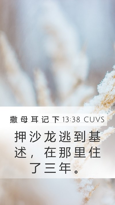 撒 母 耳 记 下 13:38 CUVS Bible Verse Image