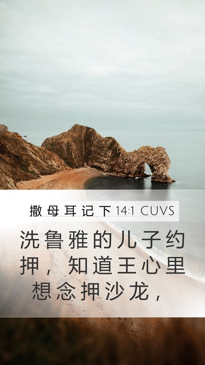 撒 母 耳 记 下 14:1 CUVS Mobile Phone Wallpaper - 洗 鲁 雅 的 儿 子 约 押 ， 知 道 王 - Mobile Bible Verse Wallpaper