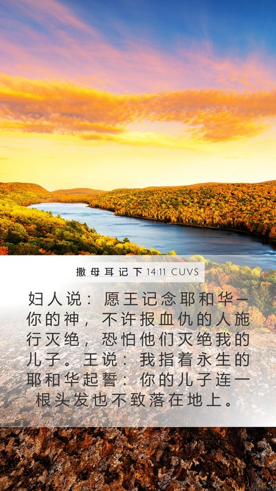 撒 母 耳 记 下 14:11 CUVS Bible Verse Image