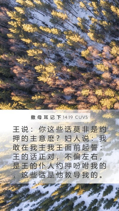 撒 母 耳 记 下 14:19 CUVS Bible Verse Image