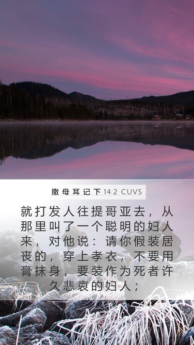撒 母 耳 记 下 14:2 CUVS Bible Verse Image