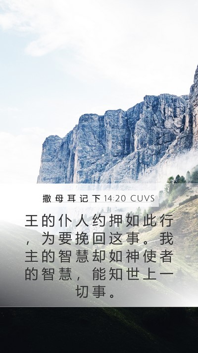 撒 母 耳 记 下 14:20 CUVS Bible Verse Image