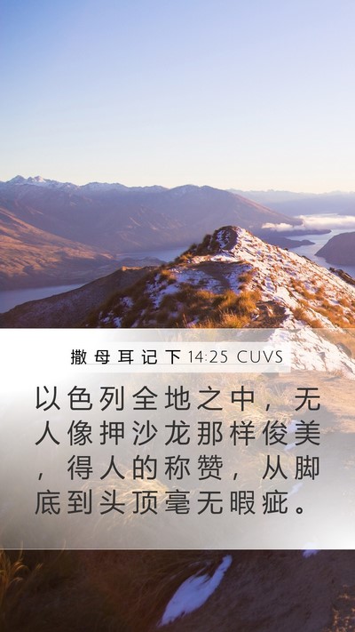 撒 母 耳 记 下 14:25 CUVS Bible Verse Image