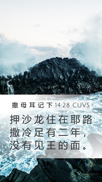 撒 母 耳 记 下 14:28 CUVS Bible Verse Image