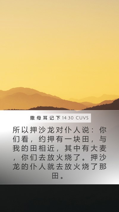 撒 母 耳 记 下 14:30 CUVS Bible Verse Image