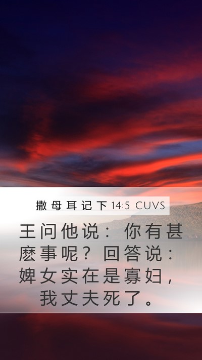 撒 母 耳 记 下 14:5 CUVS Bible Verse Image