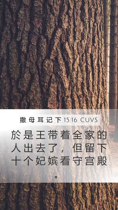撒 母 耳 记 下 15:16 CUVS Bible Verse Image