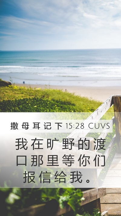撒 母 耳 记 下 15:28 CUVS Bible Verse Image