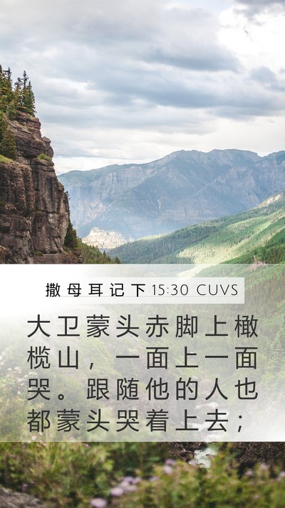撒 母 耳 记 下 15:30 CUVS Bible Verse Image