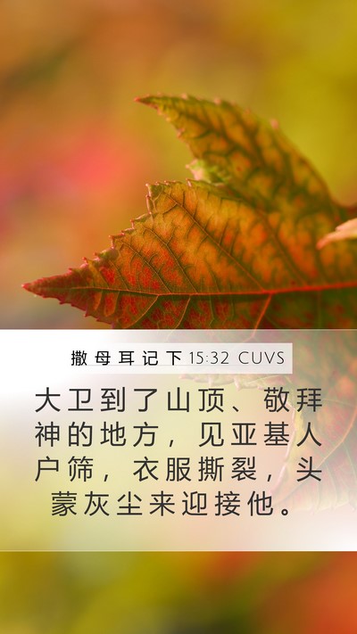 撒 母 耳 记 下 15:32 CUVS Bible Verse Image