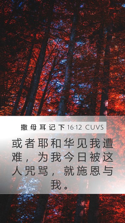 撒 母 耳 记 下 16:12 CUVS Bible Verse Image