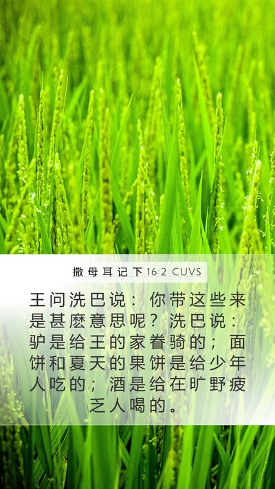 撒 母 耳 记 下 16:2 CUVS Mobile Phone Wallpaper - 王 问 洗 巴 说 ： 你 带 这 些 来 是 - Mobile Bible Verse Wallpaper