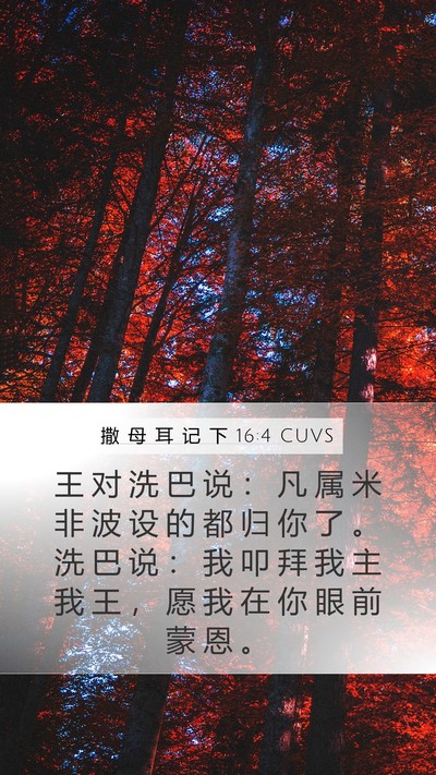 撒 母 耳 记 下 16:4 CUVS Mobile Phone Wallpaper - 王 对 洗 巴 说 ： 凡 属 米 非 波 设 - Mobile Bible Verse Wallpaper