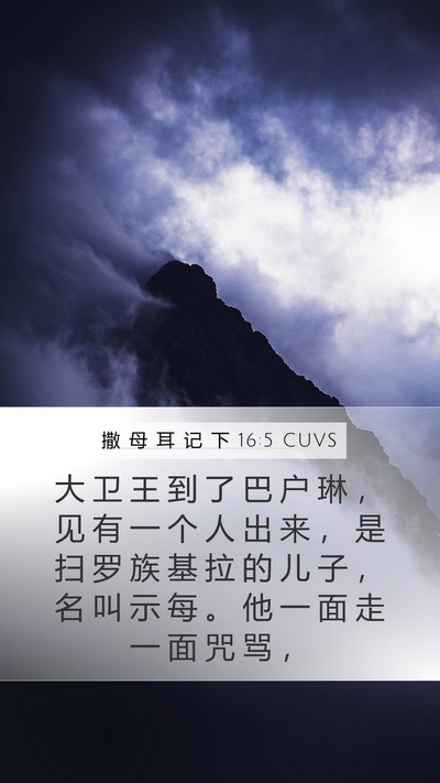 撒 母 耳 记 下 16:5 CUVS Bible Verse Image