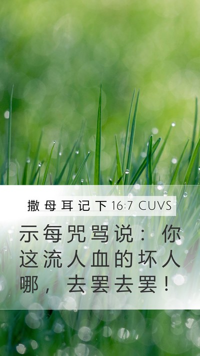撒 母 耳 记 下 16:7 CUVS Bible Verse Image